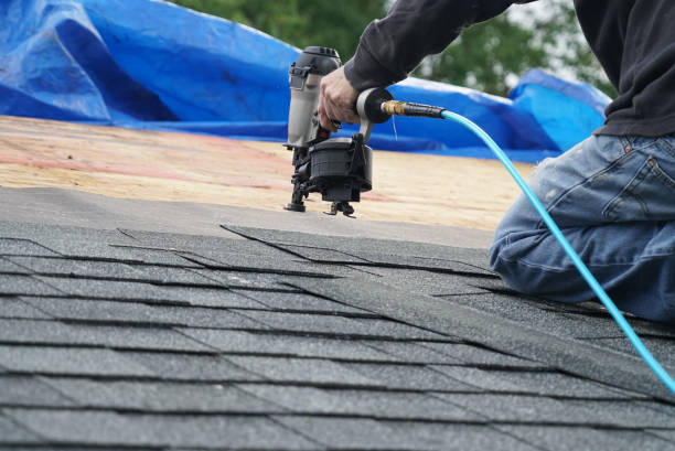 Best Roof Repair Services  in Belle Plaine, KS