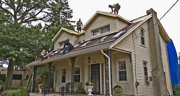 Best Metal Roofing Contractor  in Belle Plaine, KS